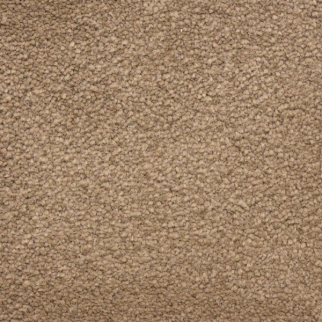 Masland Carpets Ravishing Handsome Masland