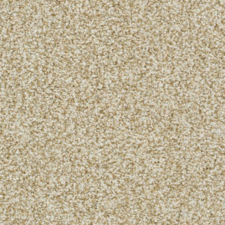 Masland Carpets St Augustine Boundless Masland