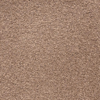 Masland Carpets Ravishing Grand Masland