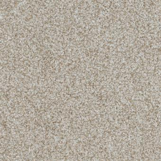 Masland Carpets Boca Raton Nonstop Masland