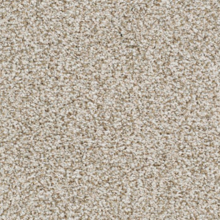 Masland Carpets St Augustine Nonstop Masland