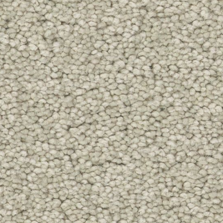 Tuftex Elegant Beauty Aloe Wash SHAW
