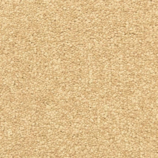 Masland Carpets Morgan Bay Burma Masland