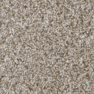 Dreamweaver Carpet Jackson Hole I Snow River DREAMWEAVER