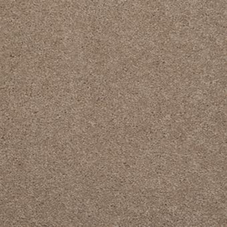Masland Carpets Embrace Bandicoot Masland