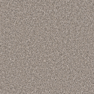 Dreamweaver Carpet Windy City III Sageview DREAMWEAVER
