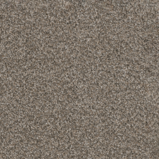 Dreamweaver Carpet Trendsetter I Sageview DREAMWEAVER