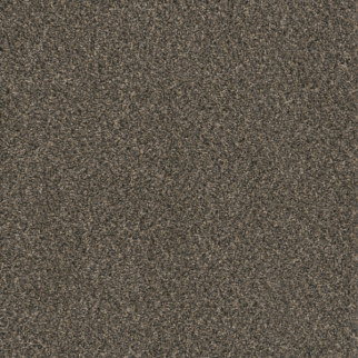 Dreamweaver Carpet Hot Pursuit Belle Grove DREAMWEAVER