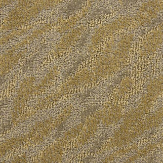 Masland Carpets Gamma Ionic Masland