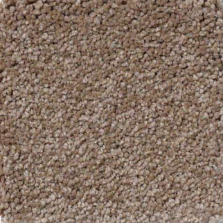 Shaw Floors Magic At Last III 15' Wheat Grass SHAW
