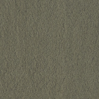 Tuftex Luxe Feel II Bonsai SHAW