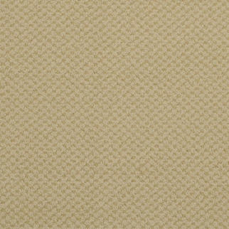 Masland Carpets Seurat Antique Gold Masland