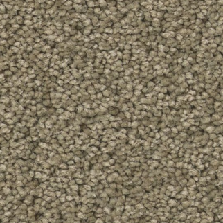 Tuftex Enduring Charm Slate SHAW
