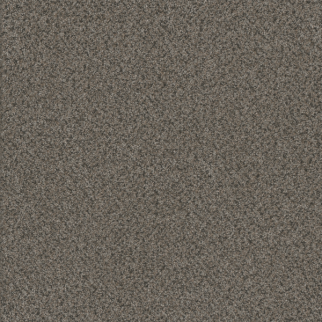 Dreamweaver Carpet Titan I Quail Hollow DREAMWEAVER