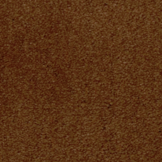 Dixie Home Touch of Velvet New Penney