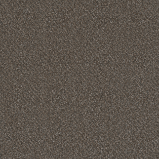 Dreamweaver Carpet Metropolis III Woodland DREAMWEAVER