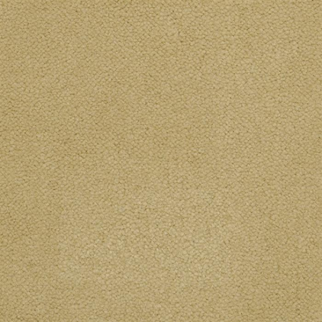 Masland Carpets Panache Limestone Masland