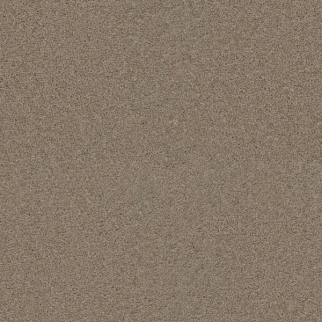 Dreamweaver Carpet Exceptional II Iced Coffee DREAMWEAVER