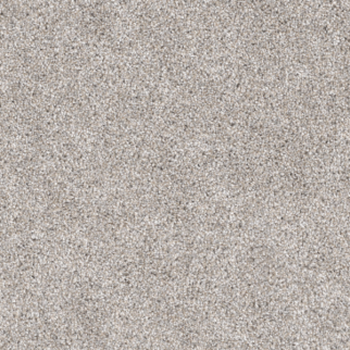 Dreamweaver Carpet Trendsetter I Antique Cameo DREAMWEAVER