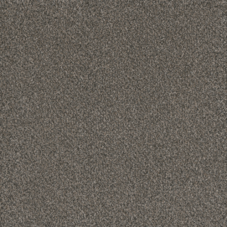Dreamweaver Carpet Titan I Castle Rock DREAMWEAVER