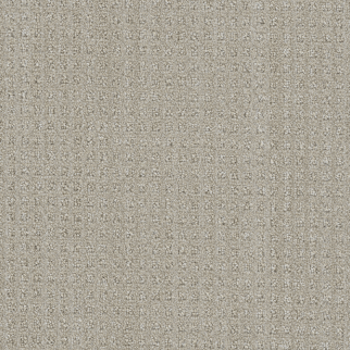 DW Select Carpet Dublin Chevoit DREAMWEAVER