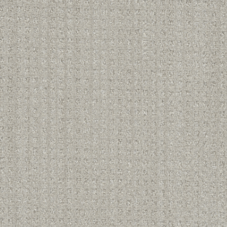 DW Select Carpet Dublin Tweel DREAMWEAVER
