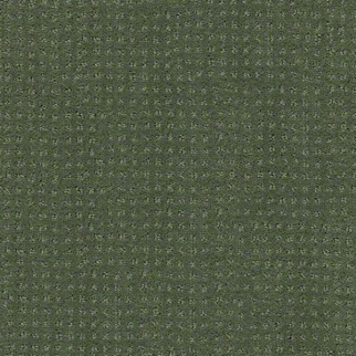 Shaw Floors Alluring Disposition Lush Garden SHAW