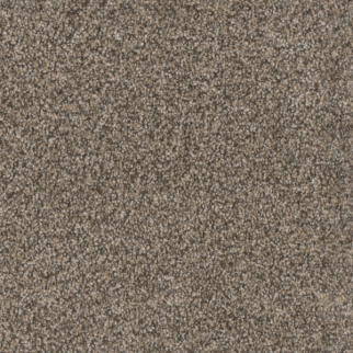 Dreamweaver Carpet Trendsetter I Trail Creek DREAMWEAVER