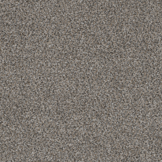 Dreamweaver Carpet Trendsetter I Luna Pearl DREAMWEAVER