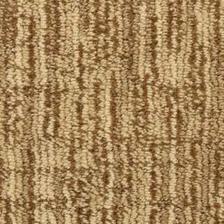 Masland Carpets Private Collection Gold Coins Masland