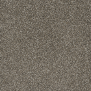 Dreamweaver Carpet Mill Creek I Matrix DREAMWEAVER