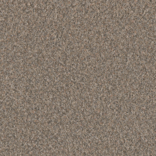 Dreamweaver Carpet Timberline I Baked Apple DREAMWEAVER