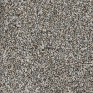 Dreamweaver Carpet Jackson Hole I Quiet Breeze DREAMWEAVER