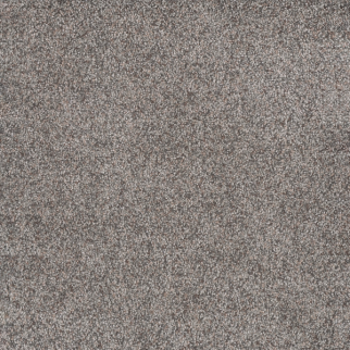 Dreamweaver Carpet Rustic Retreat II Songbird DREAMWEAVER