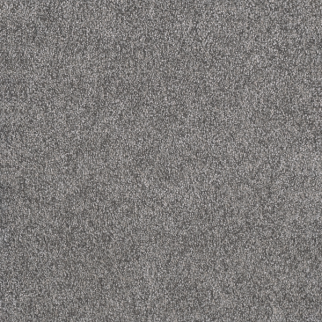 Dreamweaver Carpet Rustic Retreat I Blueberry Field DREAMWEAVER