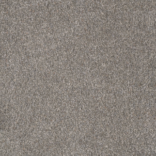Dreamweaver Carpet Rustic Retreat I Laurel DREAMWEAVER