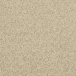 Masland Carpets Panache Alba Masland