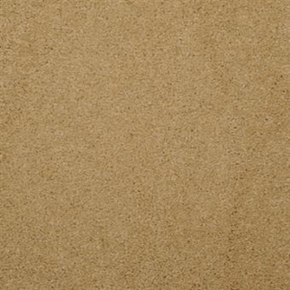 Masland Carpets Embrace Anzac Masland