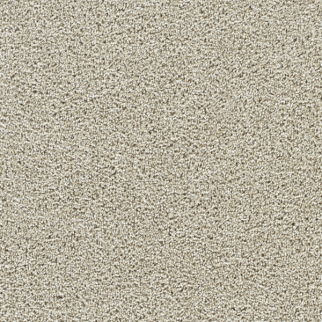 Dreamweaver Carpet Captivating II Wheat Grass DREAMWEAVER