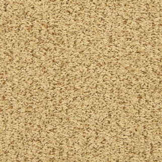 Masland Carpets Sea Grass Amber Glow Masland