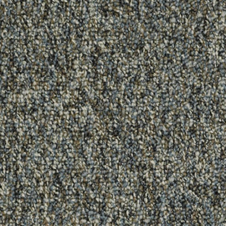 Shaw Floors Invincible 26 Bridle Path SHAW