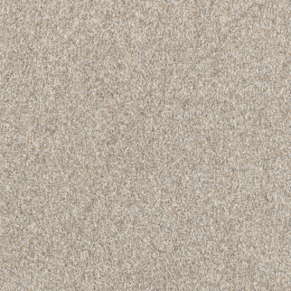 Dreamweaver Carpet Affinity III Plateau DREAMWEAVER