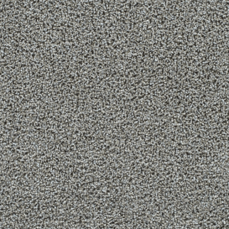 Dreamweaver Carpet Captivating I Beach Lava DREAMWEAVER