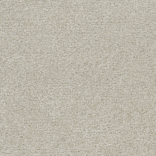Dreamweaver Carpet Lucky Penny III Temple DREAMWEAVER