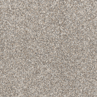 Dreamweaver Carpet Affinity III Classy DREAMWEAVER