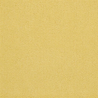 Masland Carpets Panache Narcissus Masland