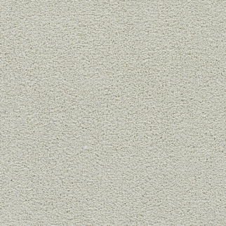 Dreamweaver Carpet Clearwater II Snowball DREAMWEAVER
