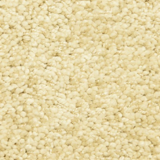 Masland Carpets Shangri-La Too Contented Masland