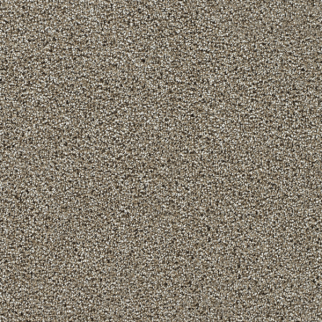 Dreamweaver Carpet Captivating I Rich Walnut DREAMWEAVER