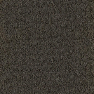 Masland Carpets Panache Prairie Masland